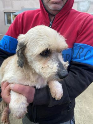 597599998 3188538527987668 1341447032201797655 n