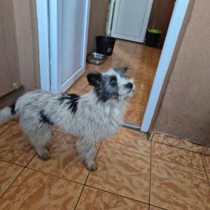 597648568 1861695055224050 1541436007200187628 n