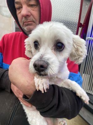 597662525 879766097846334 3264462867014167244 n