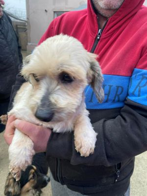 597662527 899684679317113 2487768445576512798 n