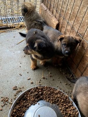 597662782 3052190294964521 4383553658598287670 n