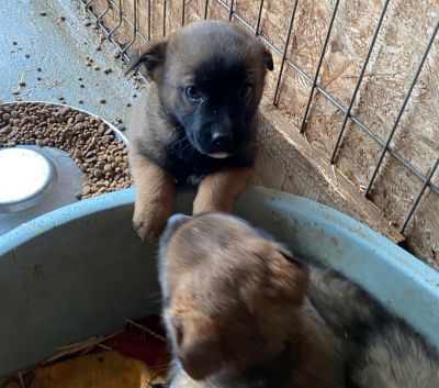 597696924 2155468674978790 8390872882323507186 n