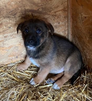 597705896 1393286705514909 69932285371328225 n