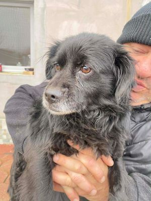 597715929 1794322261237280 3807577029164818107 n