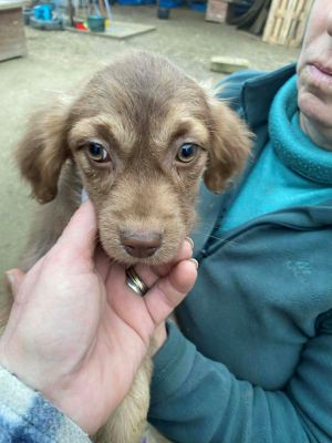 597780621 884051947336761 5533166662953792544 n