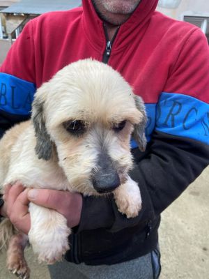 597799508 726140133874730 5513336944338003412 n