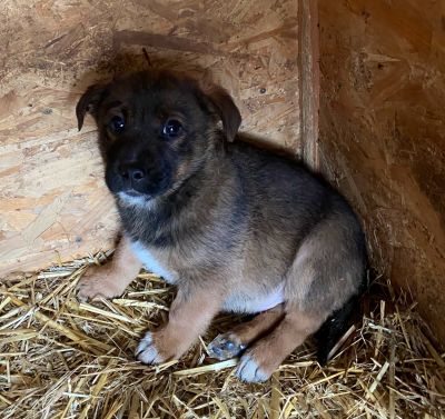 597806649 844433385033401 7797824651700027741 n