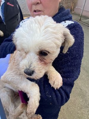 597816883 828999229765277 895047228094727091 n