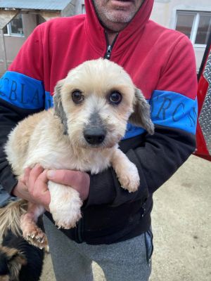 597829721 783205748107993 7415654970821175728 n