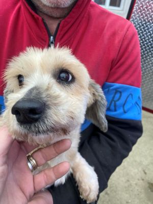 597863107 1019447257050474 343141095787378025 n