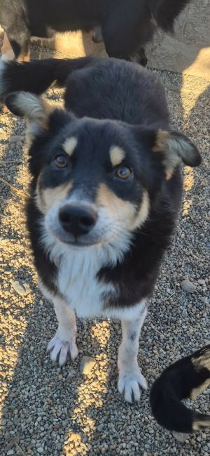 597868873 1879282346023698 3193664822378823013 n