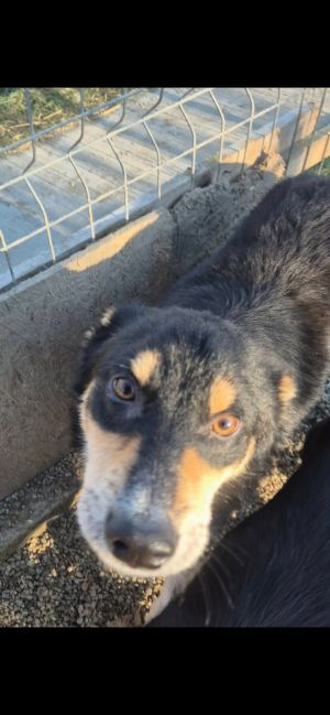 597881153 1146331004239094 6888804582958582456 n