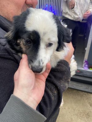 597889151 1181950317247748 6642127689166234911 n