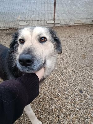 597927190 1814697319234303 4855470628058608864 n