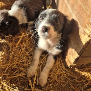 597930388 1484446596726067 6668427704522979522 n