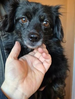 597939151 1556740375478893 5957148500820312655 n