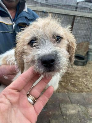 597960555 2106896420137750 101530083296401115 n