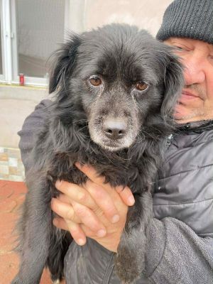 598000076 1218099363551503 483428338069497876 n