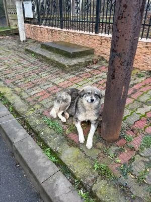 598015881 25447935254847061 5961715918651433658 n