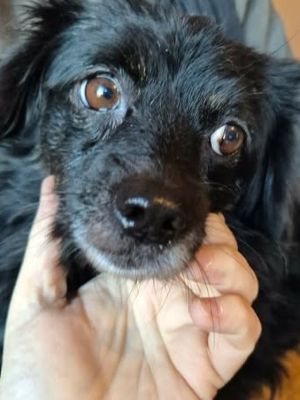 598019096 4207034622946433 3663457665706748663 n