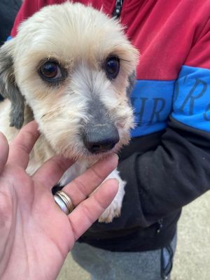 598019096 792841963798047 4841070263116553935 n