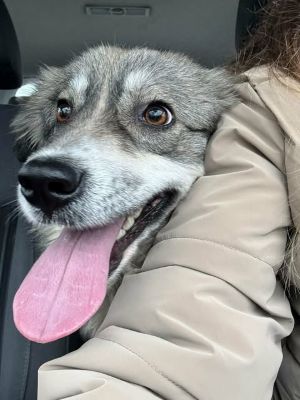 598022231 25447935698180350 2766355454969558803 n