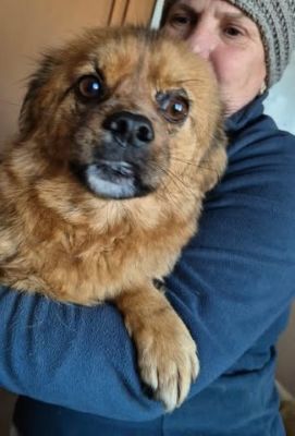 598044575 1417117310025903 8320787590416526040 n