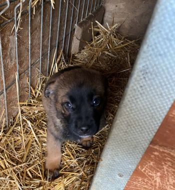 598050037 1559396942069401 890510298673254754 n