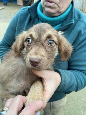 598106180 1353411129415017 441438198082892898 n