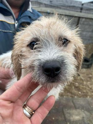 598109968 873170395397556 5367022912723682061 n