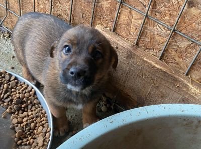 598113831 1927432514874991 8559018091380662171 n