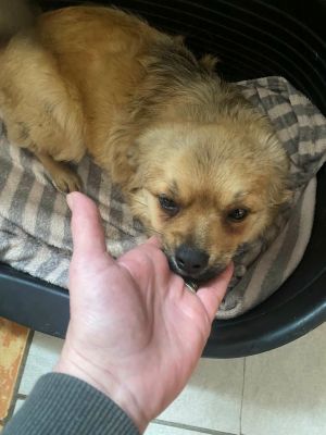 598119560 1943728002848250 4139726430292117501 n