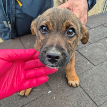 598125394 726215733541674 3325394430718703230 n