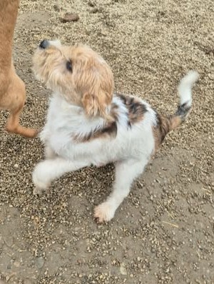 598126763 1621909972017289 2385227767484542879 n