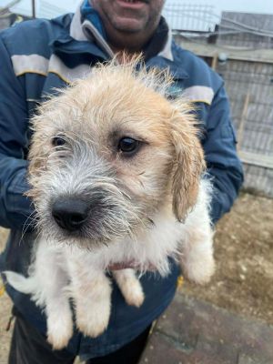 598127518 25406047802380532 7576687894003077104 n