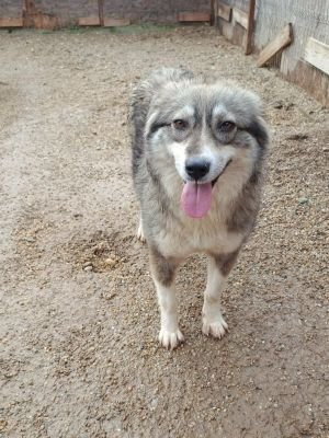 598129381 772166895142731 4349111373974571467 n