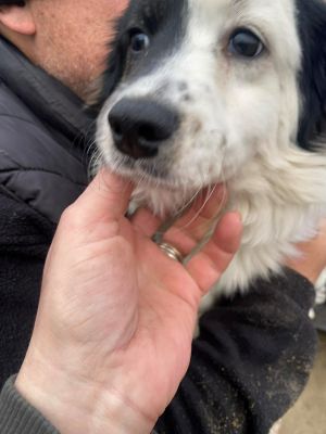 598148190 865194936207409 5990800704419868549 n