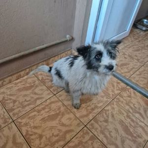 598165539 1397792805387274 2424792000443315219 n