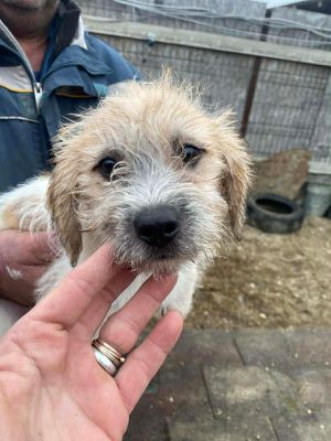 598227147 2042466586511263 2069218640768078183 n