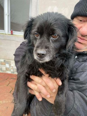 598235266 1362198385657174 7380910048019907949 n