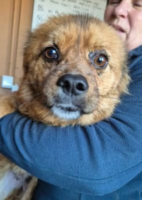 598267166 1567125801082140 3515901726912128855 n