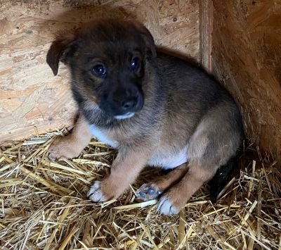 598341588 2316589508855690 4210182951794503276 n