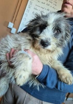 598345563 1104916664920940 1207116622456084400 n