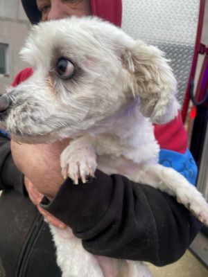 598383957 2462822417470870 5041699569029429060 n