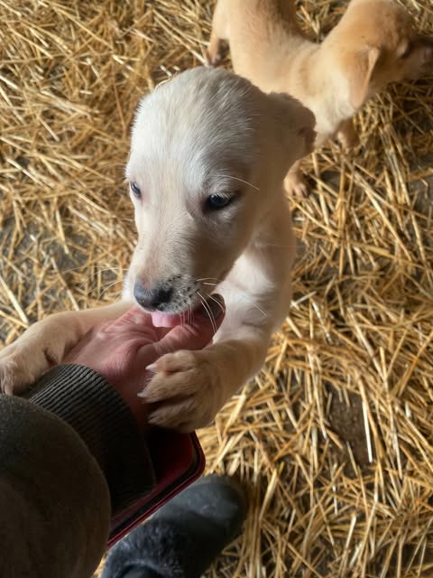 598552765 2701062240278261 4157585396124052343 n