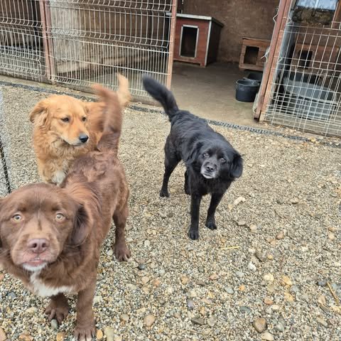 598554618 2703638970020588 1176477052864522283 n