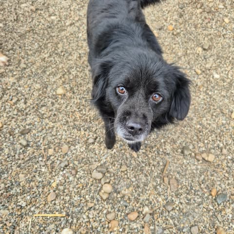 598557164 2703639006687251 4446762653906036876 n