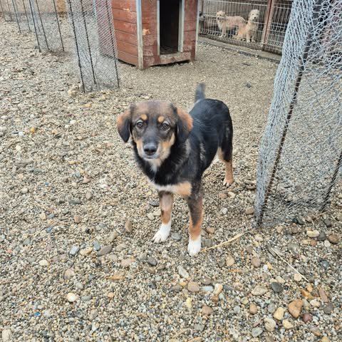 598557349 2703634940020991 8576878301612250098 n