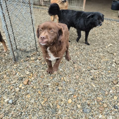 598559448 2703650190019466 931161655752022586 n