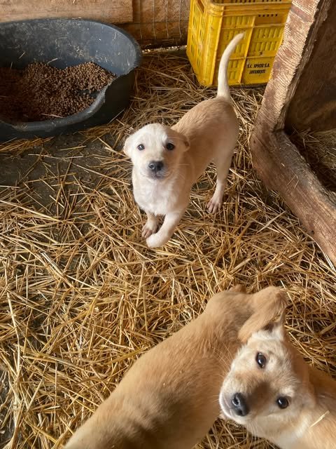 598560199 2701062186944933 8585407549643015036 n